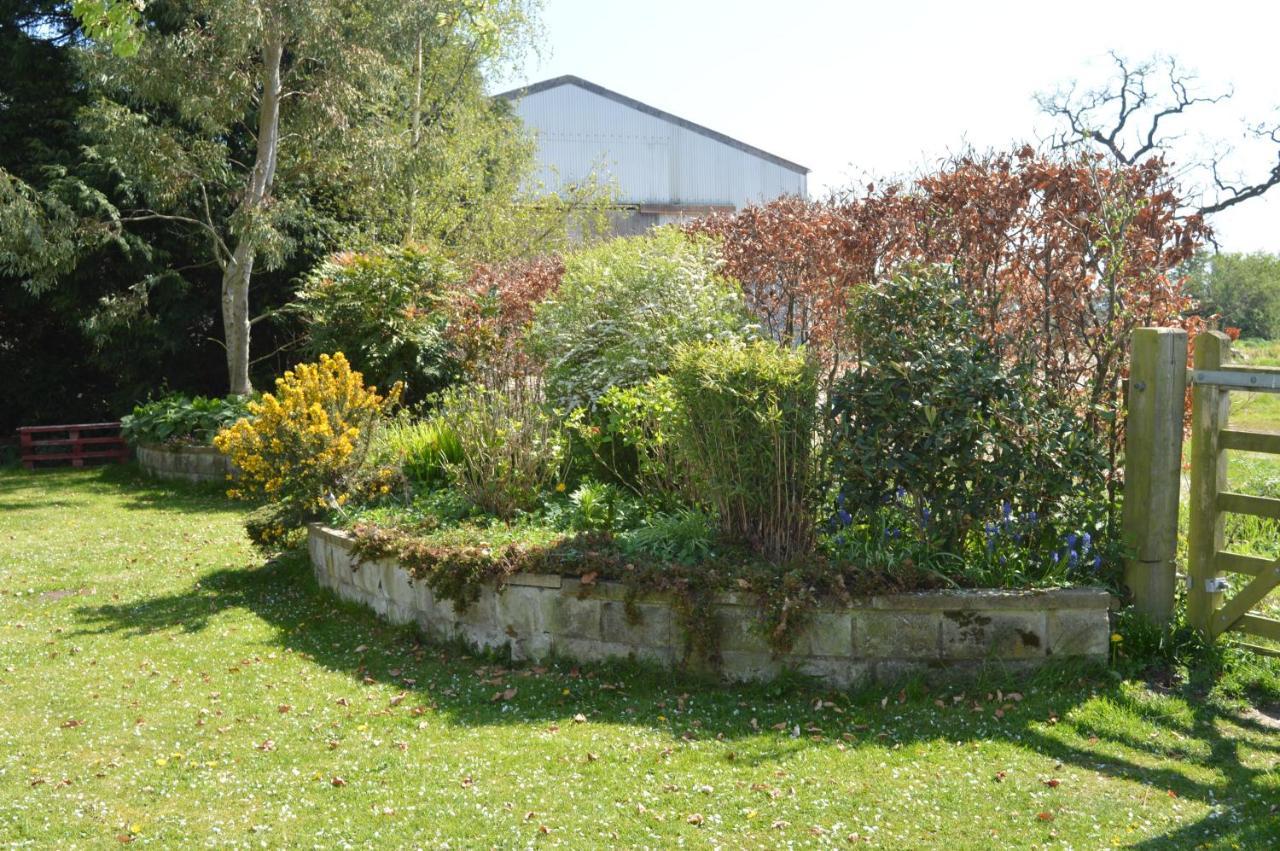 Birk House Bed & Breakfast סטמפורד ברידג' מראה חיצוני תמונה